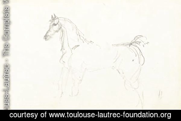 Toulouse-Lautrec - Cheval