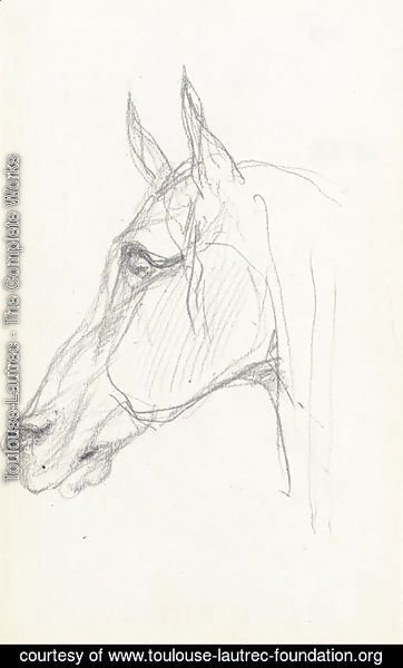 Toulouse-Lautrec - Tete de cheval