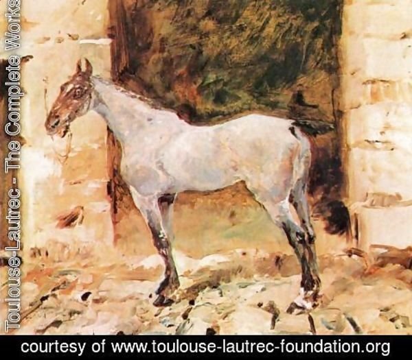 Toulouse-Lautrec - Tethered Horse