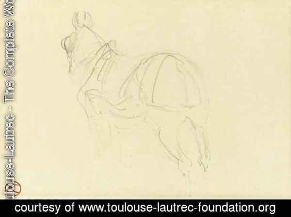 Toulouse-Lautrec - Cheval (recto)