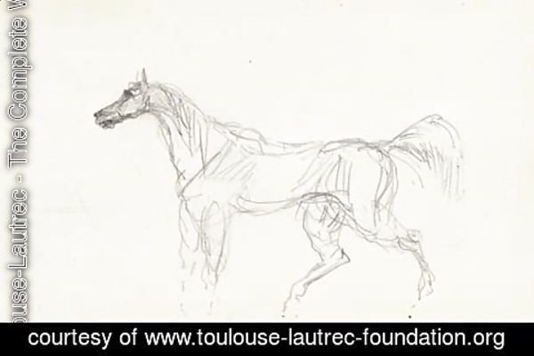 Toulouse-Lautrec - Cheval 2