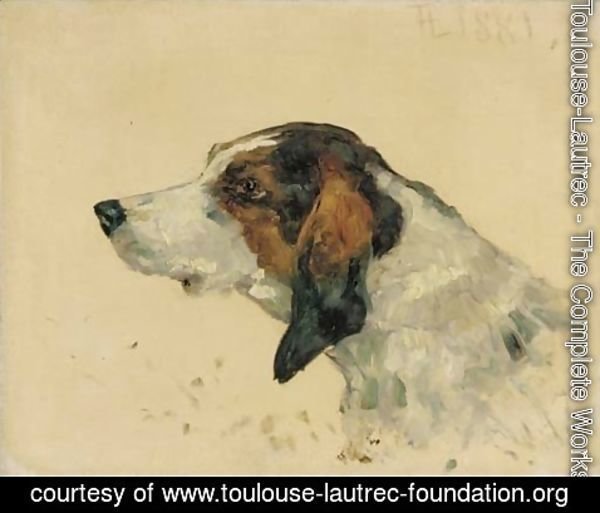 Toulouse-Lautrec - Chien de chasse