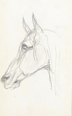 Toulouse-Lautrec - Tete de cheval