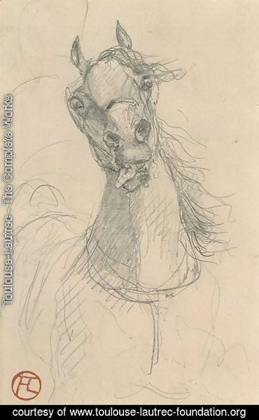 Toulouse-Lautrec - Tete de cheval 2
