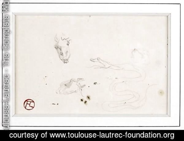 Toulouse-Lautrec - Tetes De Cheval, Serpent, Chien