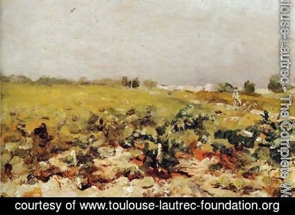 Toulouse-Lautrec - C leyran View of the Vignards